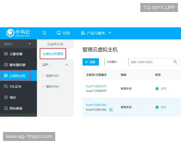 详解AG电游会员注册流程及新手必知的注册技巧帮助玩家快速入门