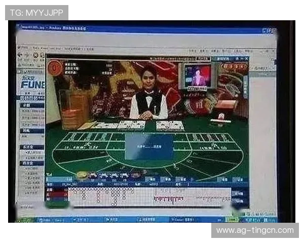 真人百家乐赌博常见风险与防范措施详解保障你的资金安全与游戏体验